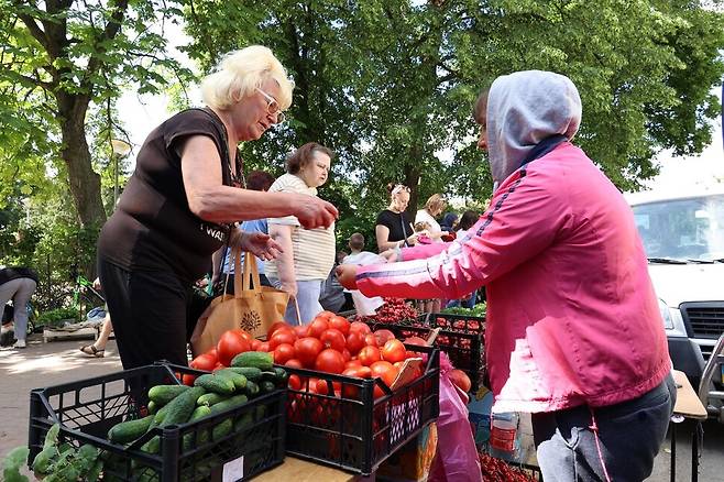 우크라이나 부차 슬라비 공원에 차려진 노점상에서 한 시민이 토마토를 사고 있다. 부차/김혜윤 기자