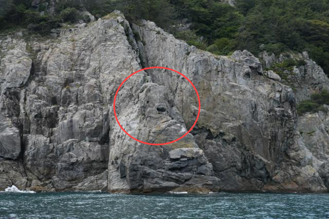 뱃길을 안내한 주민이 소개한 곰바위는 사실 강아지 형상에 더 가깝다. 바로 오른쪽 바위가 차라리 곰 옆모습을 닮은 듯하다. 두미도 섬 둘레는 14km로 배를 타고 돌아보면 1시간 정도가 소요된다.