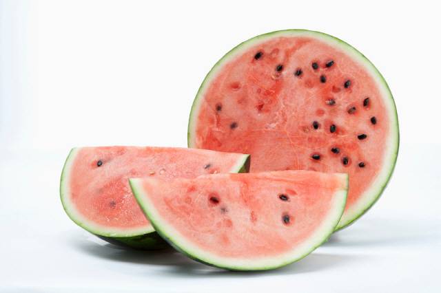 수박/사진=클립아트코리아