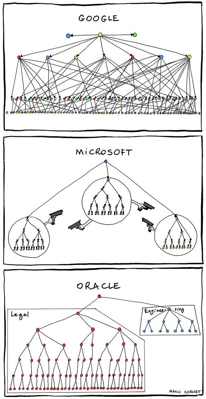 마이크로소프트와 다른 IT 기업 간 내부 조직 문화를 비교한 그림.