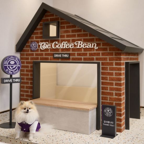 커피빈의 강아지 모델인 ‘힝구’가 매장 모형 앞에서 사진을 촬영하고 있다. 사진=커피빈코리아