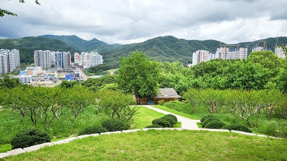 경암숲 내 송금조 회장 묘소에서 바라본 양산사송지구 아파트 단지.  한은화 기자