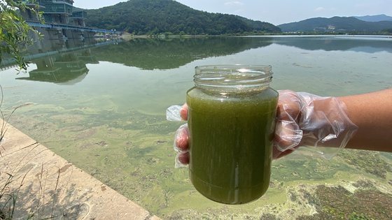 지난달 20일 대구환경운동연합 관계자가 낙동강 구미보 일대 녹조를 유리병에 담아 보이고 있다. 대구환경운동연합은 낙동강 녹조가 심해지고 있다며 낙동강 보 개방을 연일 촉구하고 있다. 연합뉴스 [대구환경운동연합 제공]