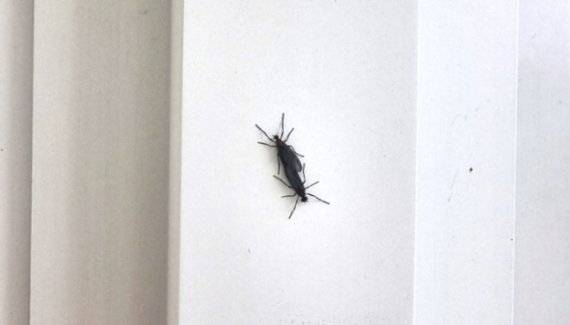 [사진=온라인 커뮤니티 캡처]