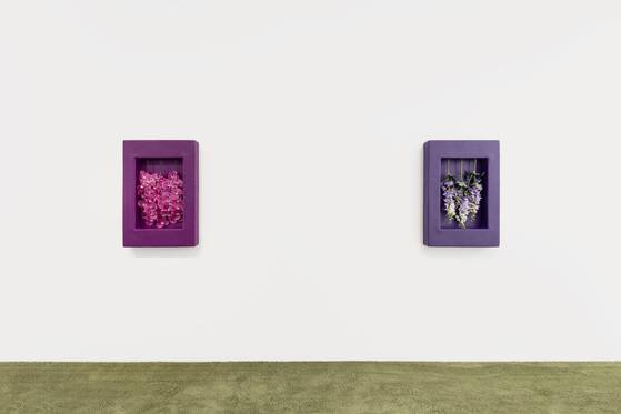 아니카 이의 '치킨 스킨' 연작이 글래드스톤 서울에 전시된 모습. [사진: 글래드스톤 제공]