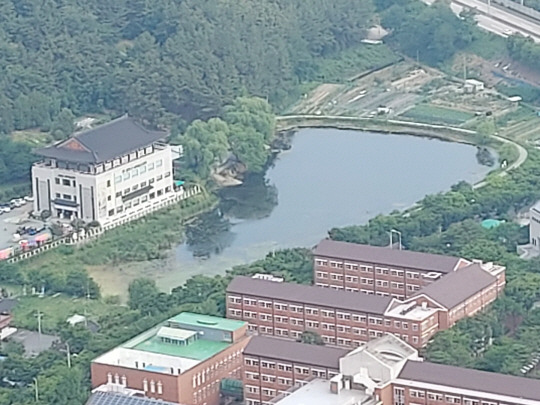 대구 수성구 욱수동 국내 최대 두꺼비 서식·산란지인 망월지 전경.