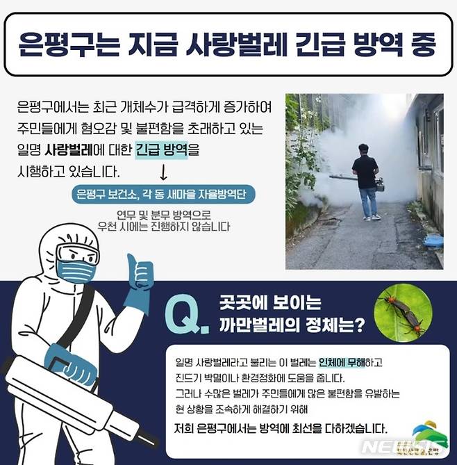 [서울=뉴시스]서울 은평구는 최근 개체수가 급격히 증가해 주민들에게 혐오감과 불편함을 주는 이른바 러브버그에 대해 긴급 방역을 시행 중이라고 3일 밝혔다. (사진=은평구청). 2022.07.03. photo@newsis.com