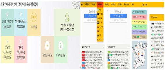 사진 = 불법 사설서버 관련 사이트 캡처