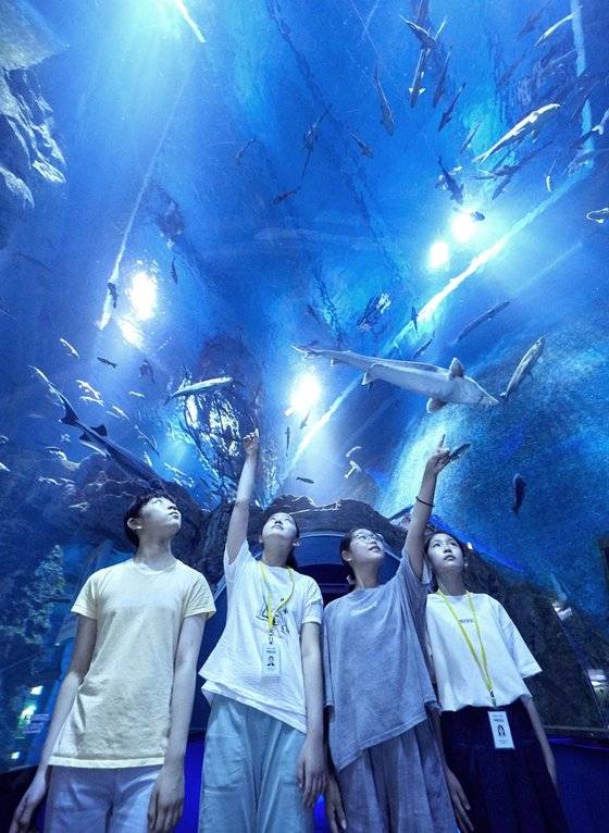 박서현·민유빈·노주하·김예나(왼쪽부터) 학생기자가 쏘가리·잉어·붕어·누치·메기 등 남한강에 사는 민물고기들을 모아놓은 높이 8m에 달하는 수족관을 살펴봤다.