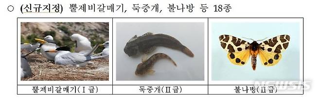 [서울=뉴시스]신규지정 멸종위기 야생생물 18종(자료=환경부 제공)