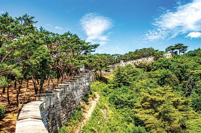 숙정문에서 곡장으로 이어진 한양도성의 수려한 성곽길. 송림과 어우러져 풍광이 더욱 빼어나다.