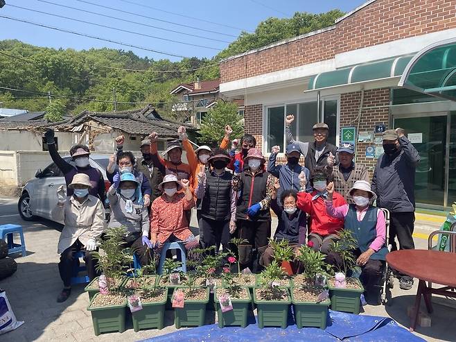 충북 증평군 도안면 화성3리 주민들. 이들은 공동 모판에서 모종을 팔고, 공동체 활동의 하나로 공기 정화식물 화분을 만든다. 충북농업기술원 제공