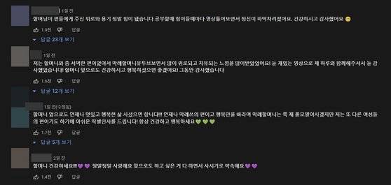 [유튜브 '박막례 할머니' 댓글 캡처]