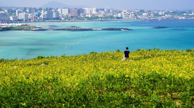 제주도 풍경 자료사진. 뉴시스