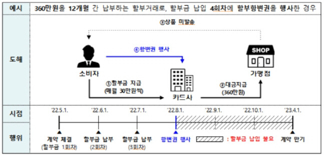 [자료 출처 = 금감원]