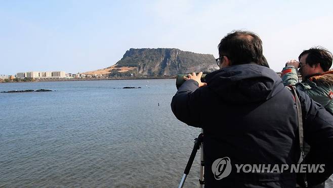 제2공항 주변 철새 조사하는 국토부 ([제주도 제공. 재판매 및 DB 금지]