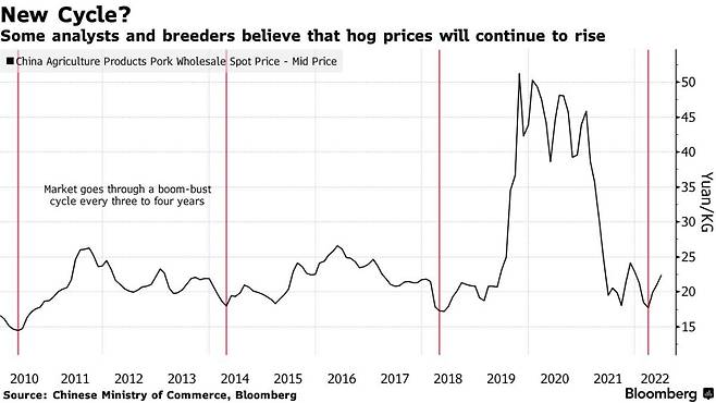 중국 돼지고기 가격 추이(kg당 위안)/사진=블룸버그 홈페이지 캡처