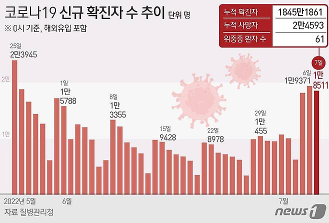 © News1 김초희 디자이너