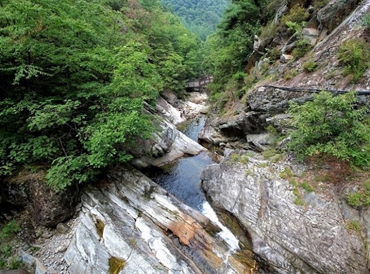 소백산 천동계곡 숲 [산림청 제공. 재판매 및 DB 금지]