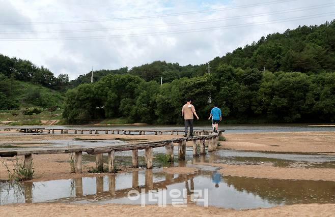 경북 영주 무섬마을의 외나무다리