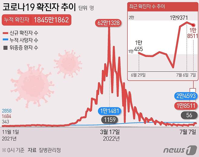 © News1 김초희 디자이너