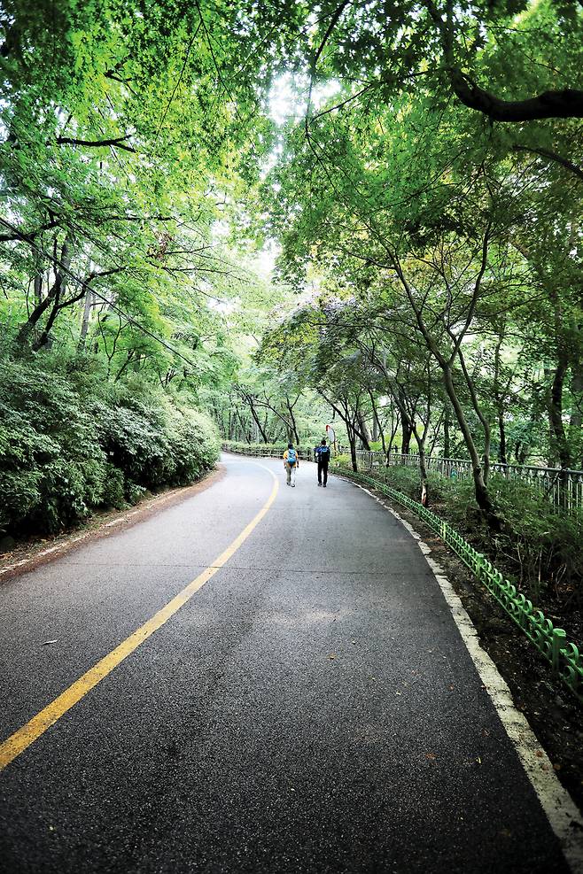 관악산 계곡은 숲이 짙어 한여름에도 산책 코스로 이용할 만하다.