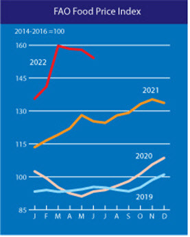연도별 세계식량가격지수 추이. (자료=농식품부)