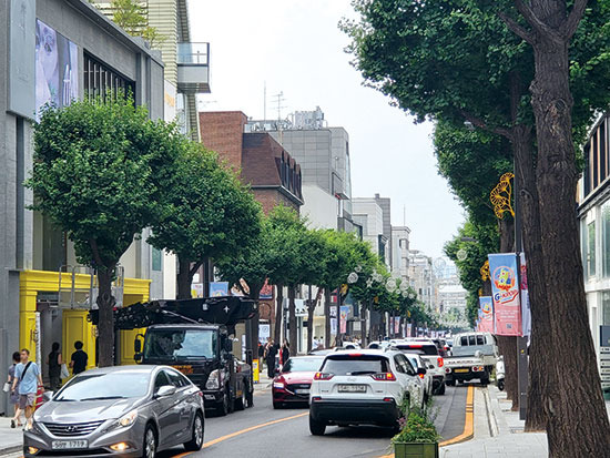 가로수길 상권은 지난해 대비 올해 매출이 가장 많이 오른 상권이었다. 그러나 일부 업종과 브랜드만 매출이 올라 ‘양극화’ 현상도 심해졌다는 분석이 뒤따른다. (반진욱 기자)