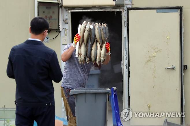 '악취 생선' 처리 (광주=연합뉴스) 박철홍 기자 = 12일 오전 광주 북구 임동의 한 수산물업체 냉동고에서 광주 북구청 관계자들이 부패해 악취를 풍기는 생선을 치우고 있다. 해당 업체는 부도 후 냉동고에 보관 중이던 생선이 장기간 방치되면서 주민들에게 악취 고통을 안겼다. 2022.7.12 pch80@yna.co.kr