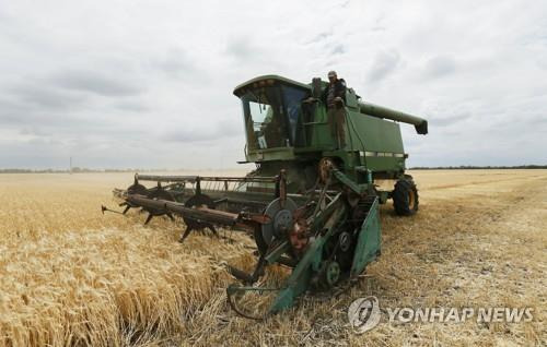 우크라이나 밀 수확 [EPA 연합뉴스 자료사진]