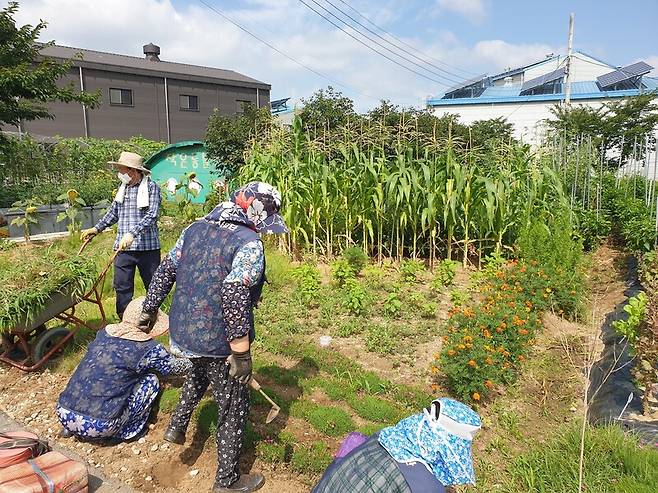 지난 15일 오전 전북 전주시 완산구 조촌동 용덕마을에서 마을 주민들이 꽃밭을 가꾸고 있다. 박임근 기자