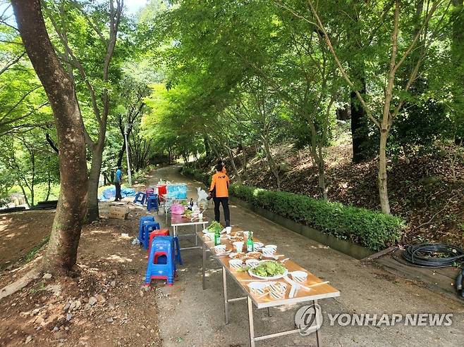 해남 말벌 현장 (해남=연합뉴스) 차지욱 기자 = 19일 오전 전남 해남군 흑석산 자연휴양림에서 소방대원들이 구조활동을 벌이고 있다. 2022.7.19
[해남 소방 제공. 재판매 및 DB 금지] uk@yna.co.kr