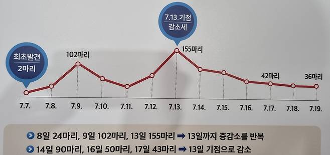 유충 발생 추이 [촬영 김선경]