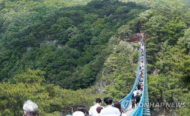 원주 출렁다리를 찾은 관광객 [촬영 이재현]