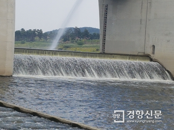 공주보 수문 각도가 조절되며 많은 양의 물줄기가 쏟아지고 있는 모습. ｜ 경향신문DB