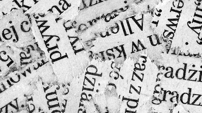 다중 언어 사용자들은 보통 자신이 구사할 수 있는 언어들을 자유자재로 구사한다