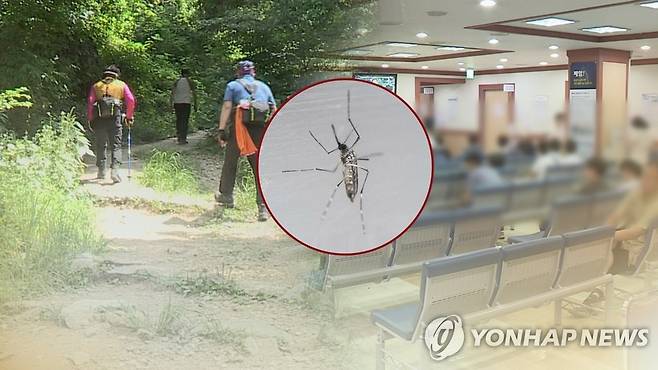 "외출 때 긴 옷을"…일본뇌염 모기 주의 (CG) [연합뉴스TV 제공]