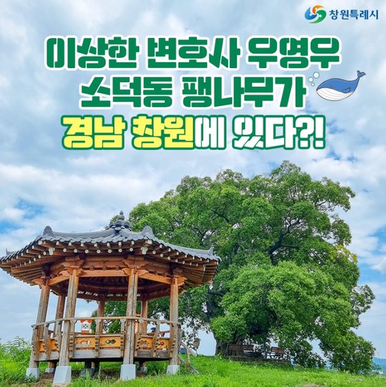 [창원시 공식 블로그 캡처]