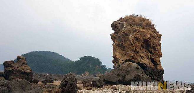 고대도를 대표하는 선바위/ 고대도 남쪽 자갈해수욕장 끝머리에 우뚝 솟아 있는 바위로 고기잡이를 나가는 어부들이 하루의 무사함을 빌며 한 번씩 머리를 숙이고 지나간다는 장승같은 바위로 돛단여 라 부르기도 한다.