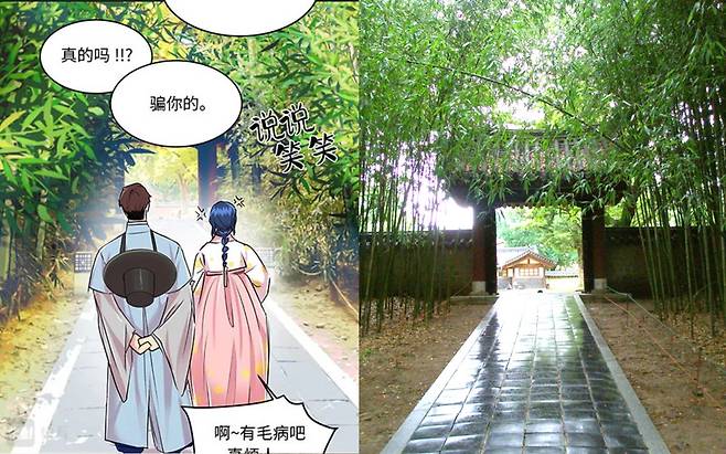 중국 최대 웹툰 플랫폼 ‘콰이칸(快看)’에 연재 중인 웹툰 ‘전주이가민박(全州李家民宿)’의 한 장면과 실제 전북 전주 한옥마을 경기전 내 대나무숲. [콰이칸 홈페이지, 전주한옥마을 페이스북]