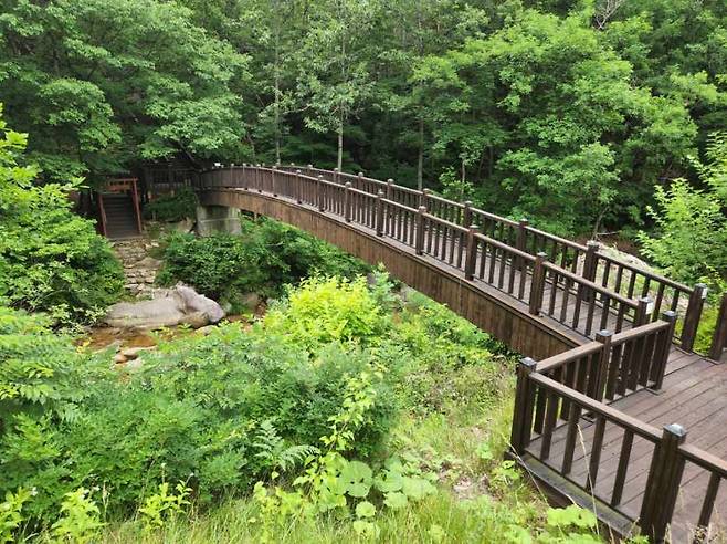 황정산자연휴양림에 있는 데크로드. 아래에 계곡물이 흐르는 산책로이다. 산책로 끝에는 체력단련시설이 있다. 휴양림 측 제공