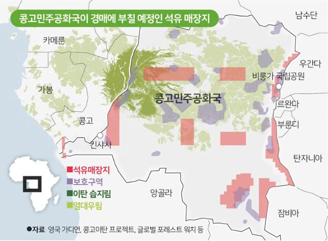 콩고민주공화국이 경매에 부칠 예정인 석유 매장지. 일부 경매지는 유네스코 세계유산으로 지정된 비룽가 국립공원, 이탄지인 '큐벳 센트럴'과 겹치는 부분이 있어 이 지역에서 석유 채굴이 이뤄질 경우 심각한 환경 파괴를 낳을 수 있다는 우려가 나왔다. 그래픽=송정근 기자