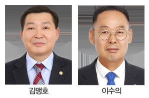 김맹호 의장, 이수의 부의장