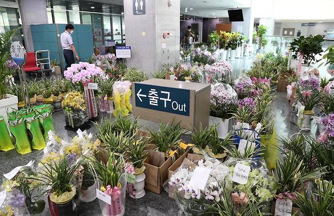 26일 오후 국회 의원회관 민원실 앞에 상임위원회와 관련된 단체가 의원들에게 보내온 축하 난 화분들이 가득 놓여있다. 의원회관에서 택배 물건을 담당하는 한 직원은 “월요일부터 하루에 500여 개 이상 축하 난이 들어오고 있다”라고 말했다. 김봉규 선임기자 bong9@hani.co.kr