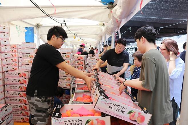 2019년 축제 때의 한 장면 [옥천군 제공. 재판매 및 DB 금지]