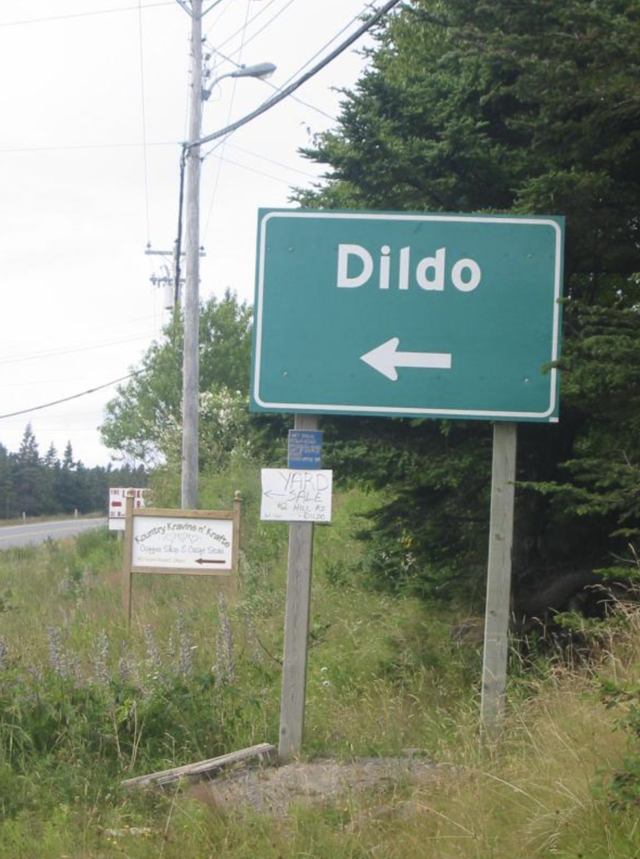 캐나다 뉴펀들랜드의 어촌마을 '딜도(Dildo)' 도로 표지판. 위키피디아