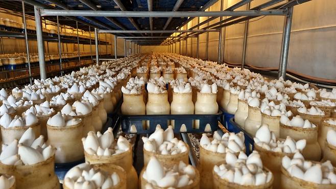 ◇ 송알송알 산골이야기. 사진제공=농촌진흥청.