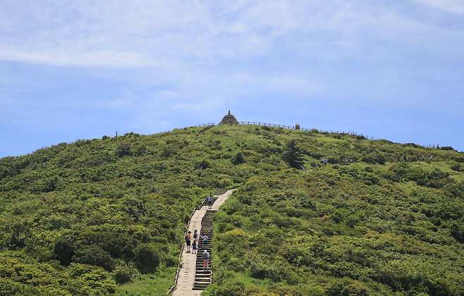 국립공원 지리산 노고단의 여름 풍경 / 사진제공=구례군청
