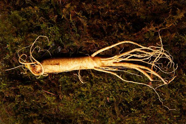 게티이미지뱅크