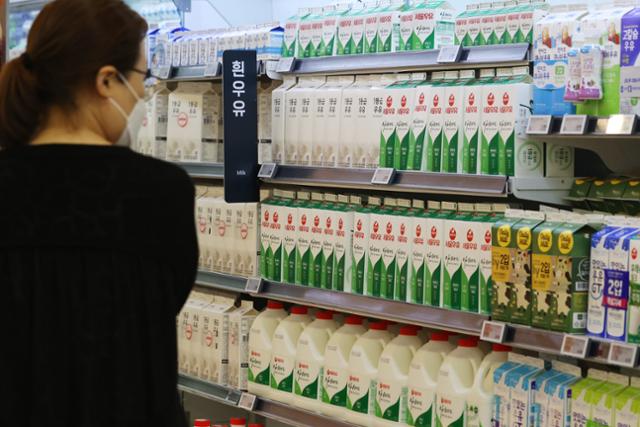 지난달 27일 서울의 한 대형마트에서 시민이 진열된 우유를 살펴보고 있다. 연합뉴스